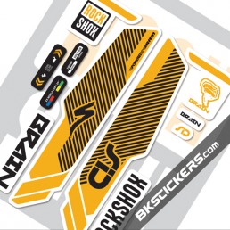 Rockshox SID Brain 2014 Decals kit White Forks