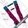 Rockshox Boxxer 2020 Decals kit Black Forks