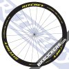 Ritchey WCS Apex 46 Carbon Decals kit