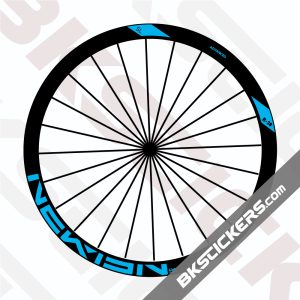 Newmen Advanced SL R38 Disc Decal kit