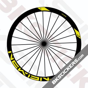 Newmen Advanced SL R38 Disc Decal kit
