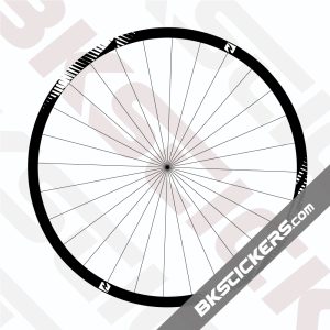 Reynolds TR 309 Carbon Decals Kit