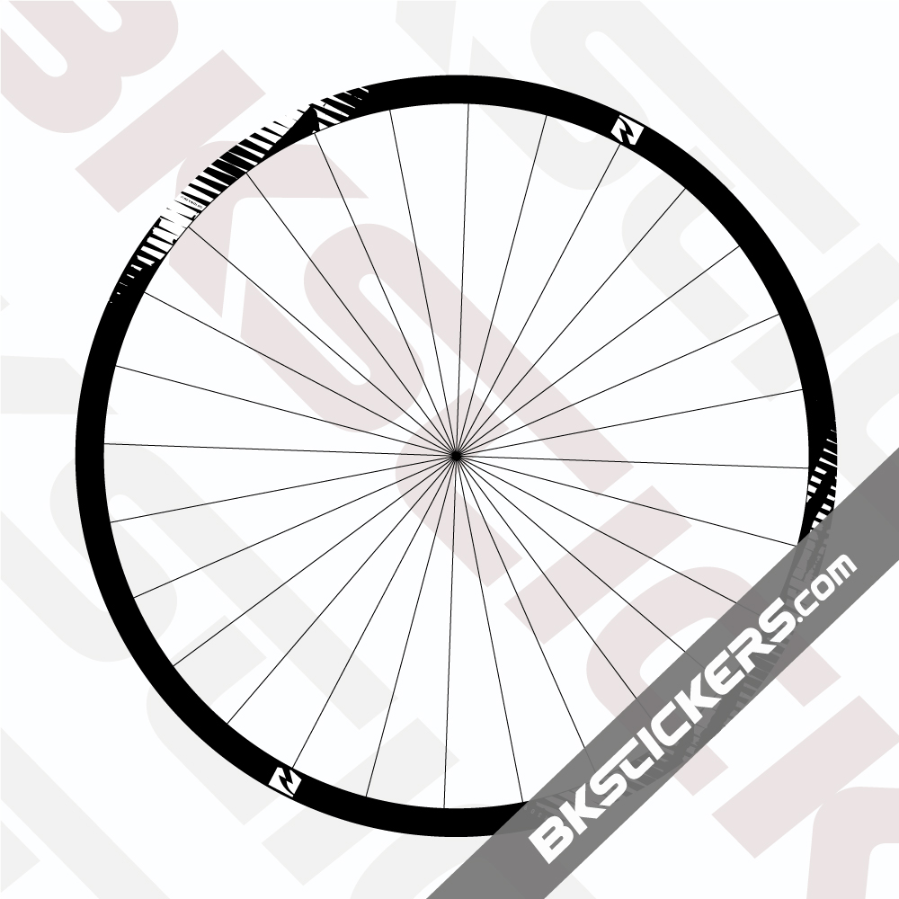 Reynolds TR 309 Carbon Decals Kit
