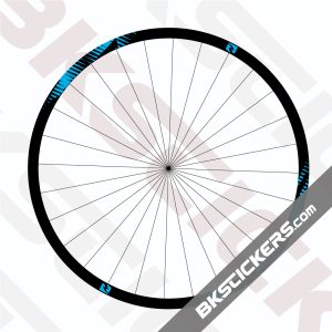 Reynolds TR 309 Carbon Decals Kit