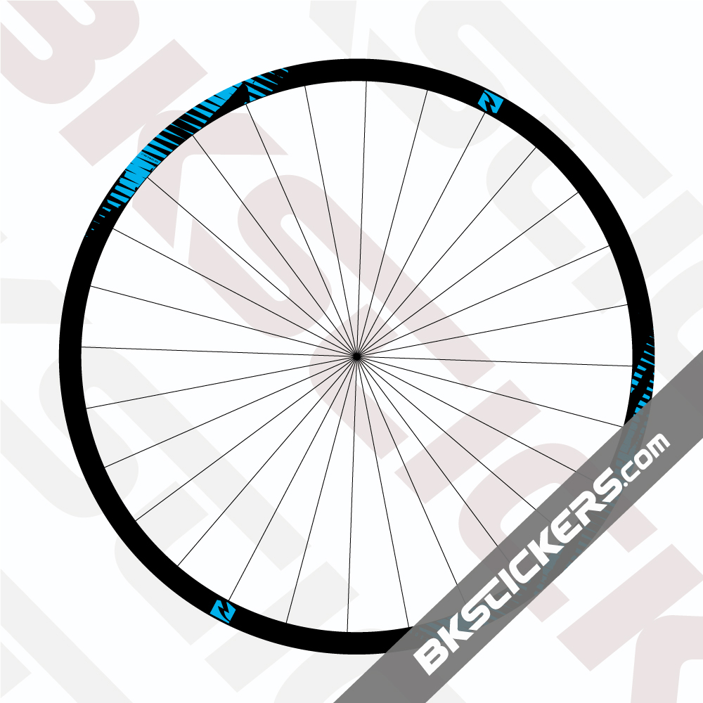 Reynolds TR 309 Carbon Decals Kit