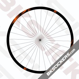 Reynolds TR 309 Carbon Decals Kit
