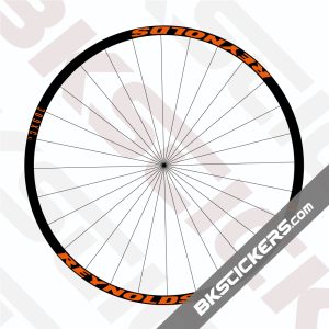 Reynolds TR 309c XC Decals Kit
