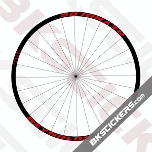 Reynolds TR 309c XC Decals Kit