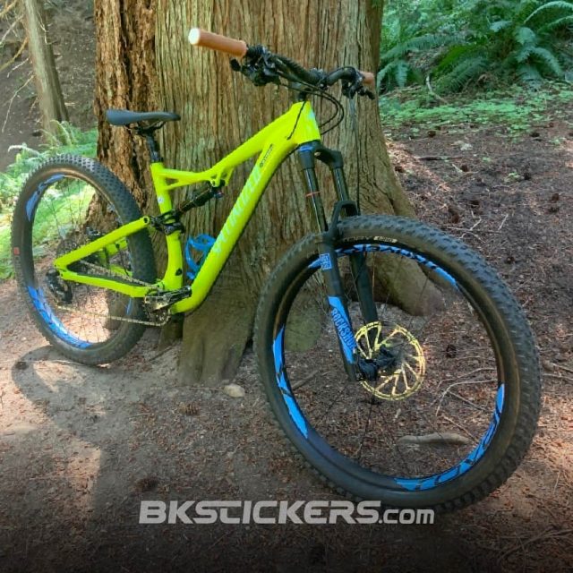 custom mtb bikes